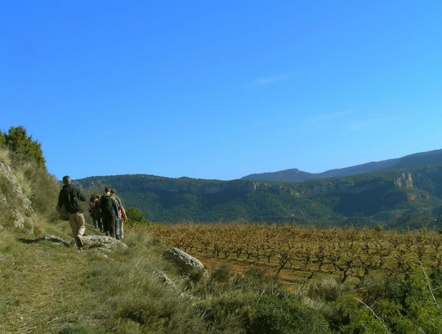  Besuch unserer Weinberge 